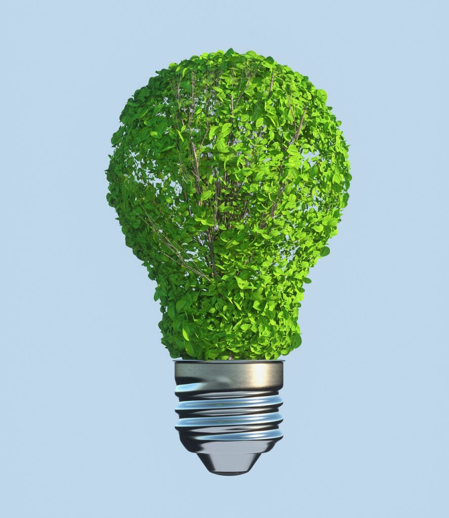 leaves, light bulb, sustainability-5591442.jpg